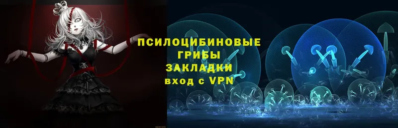 Галлюциногенные грибы мухоморы  как найти закладки  Железногорск 