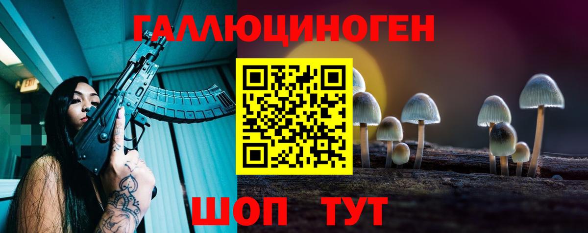 Галлюциногенные грибы Psilocybe  Железногорск 