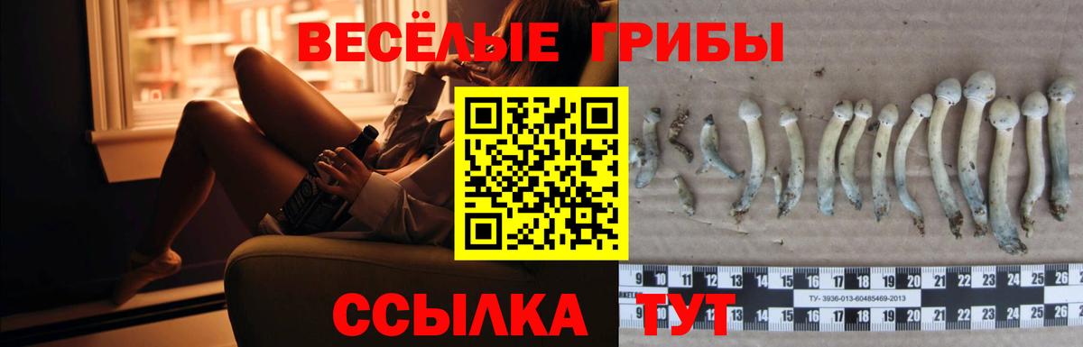 Железногорск  Галлюциногенные грибы ЛСД  Вход с VPN 